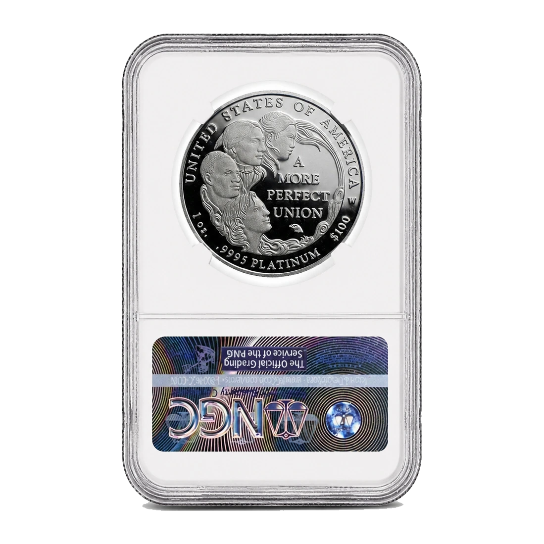 2009 American Eagle One Ounce Platinum Proof Coin — Proof 70 — reverse of the holder, representative image