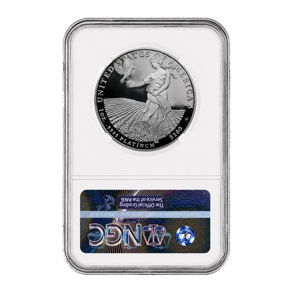2011 American Eagle One Ounce Platinum Proof Coin — Proof 70 — reverse of the holder, representative image