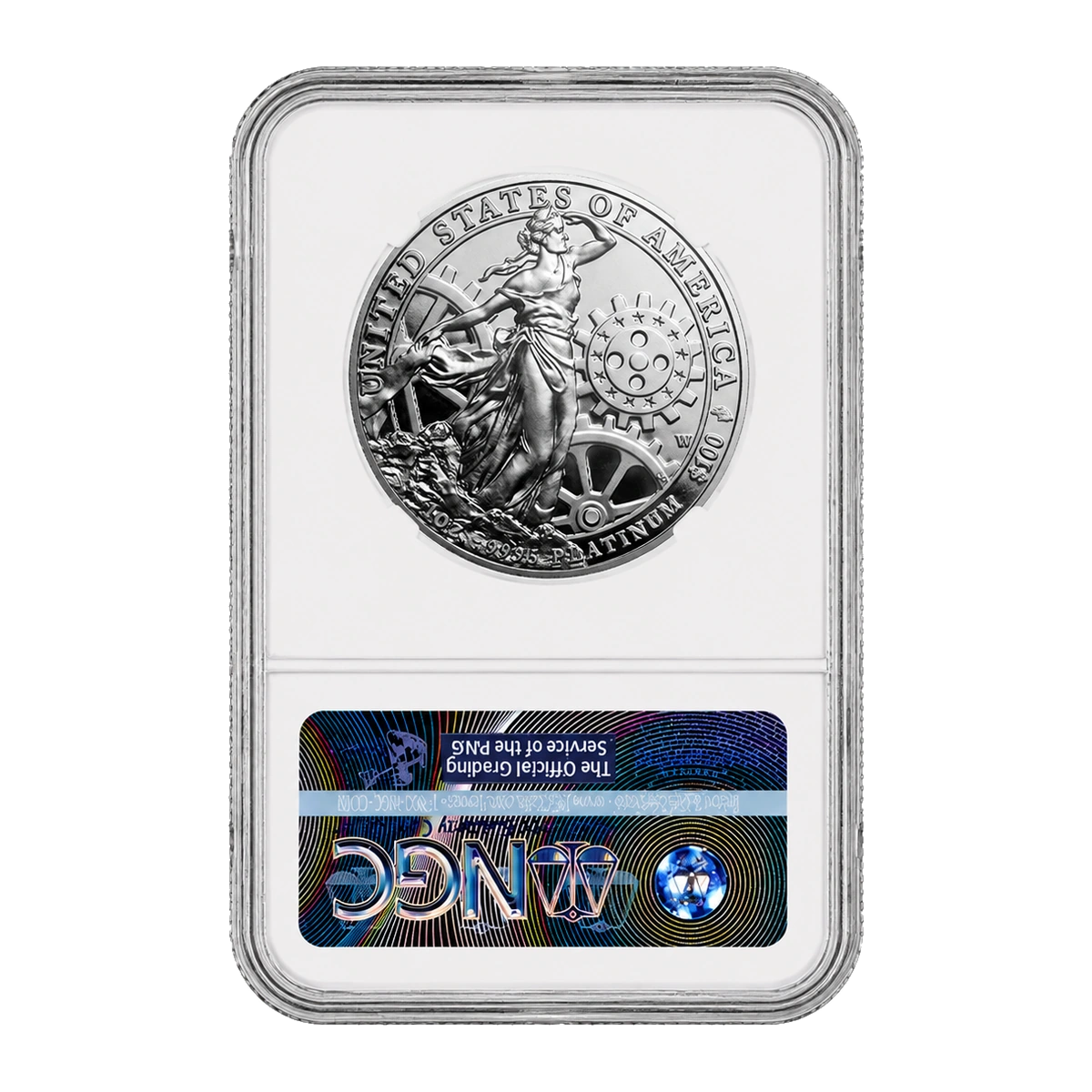 2013 American Eagle One Ounce Platinum Proof Coin — Proof 70 — reverse of the holder, representative image