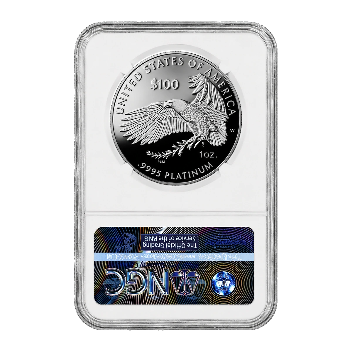 2020 American Eagle One Ounce Platinum Proof Coin — Proof 70 — reverse of the holder, representative image