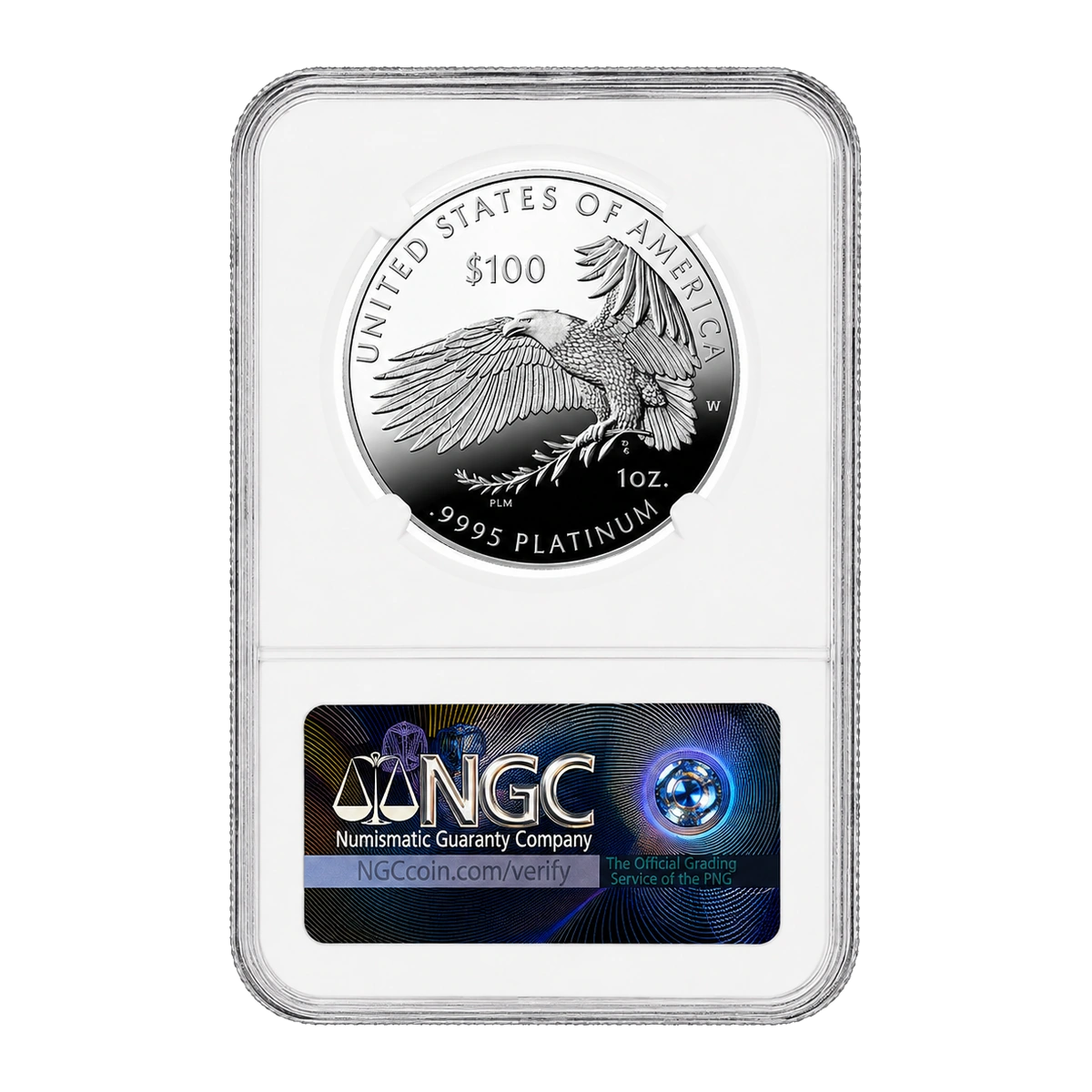 2022 American Eagle One Ounce Platinum Proof Coin — Proof 70 — reverse of the holder, representative image