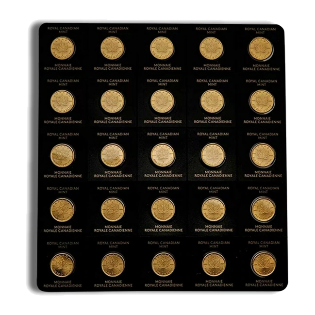 Canadian Gold Maplegram25 — 25 × 1 Gram (In Assay) — representative image