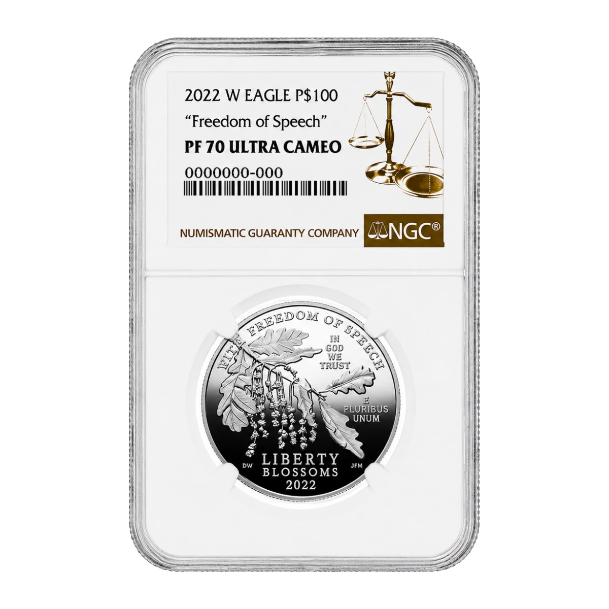2022 American Eagle One Ounce Platinum Proof Coin — Proof 70 — representative image