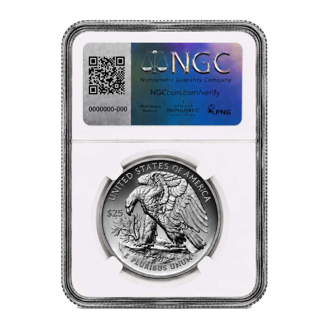 2024 American Eagle One Ounce Palladium Proof Coin — Proof 70 — reverse of the holder, representative image