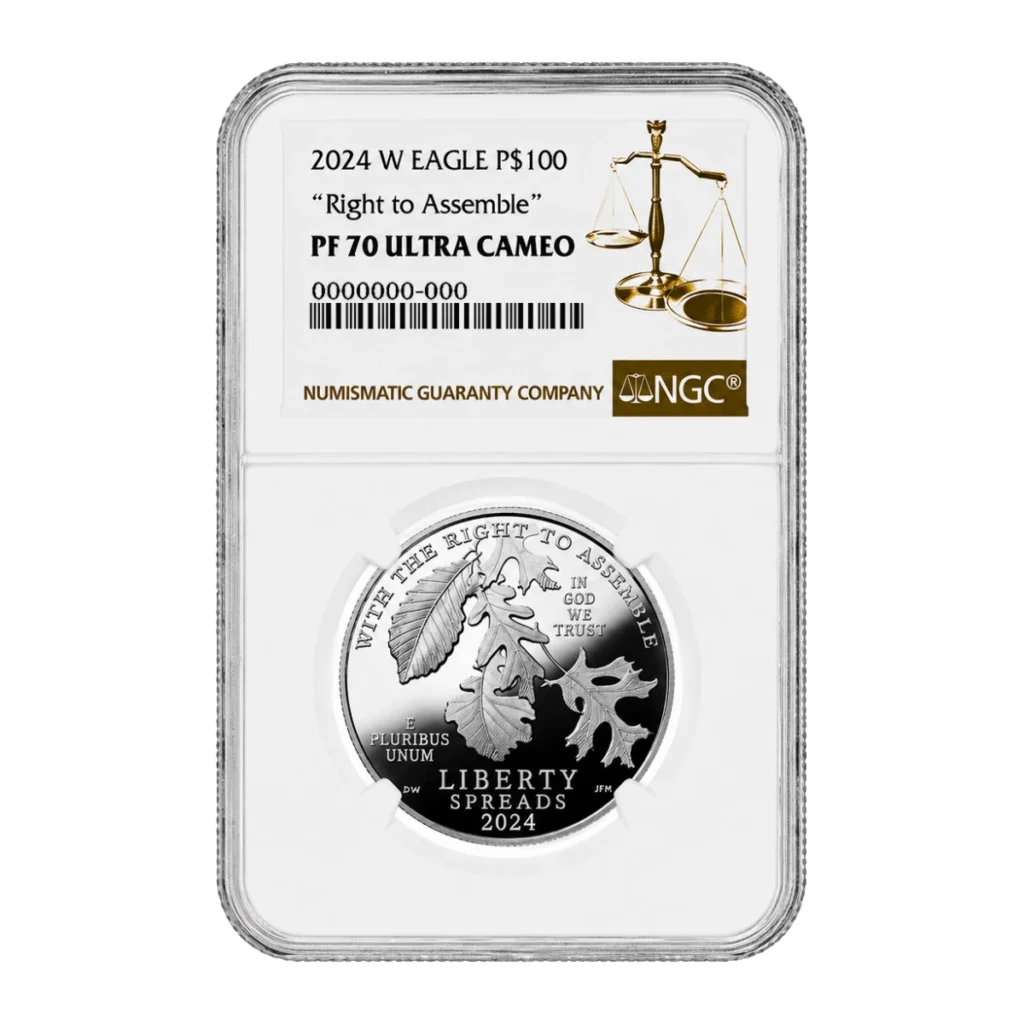 2024 American Eagle One Ounce Platinum Proof Coin — Proof 70 — representative image