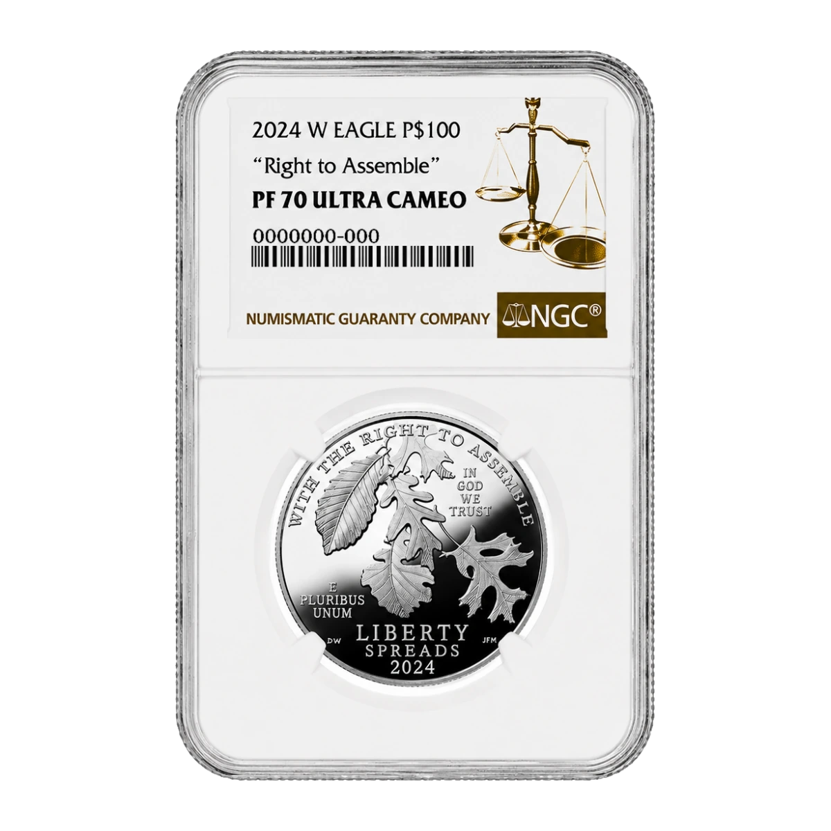 2024 American Eagle One Ounce Platinum Proof Coin — Proof 70 — representative image